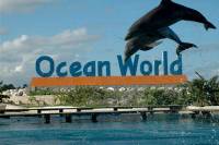 Ocean World Adventure Park Day Trip from Santo Domingo