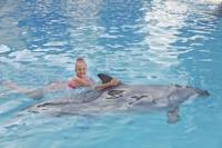 Ocho Rios Dolphin Swim