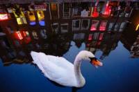 Offbeat Amsterdam Red Light District Nighttime Walking Tour with a Local Guide