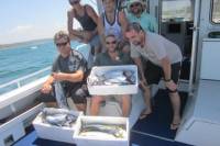 Offshore Reef or Sport Fishing Charter from Cronulla
