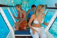 Outer Great Barrier Reef Snorkel Cruise from Palm Cove
