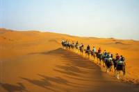 Overnight Desert Trip from Marrakech with Camel Ride
