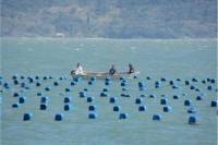 Oyster and Wine Tasting Tour in Florianópolis