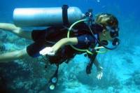 PADI 3-Day Open Water Dive Course in Playa del Carmen