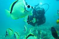 PADI Adventure Diver Course