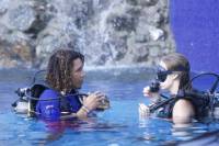 PADI Discover Scuba Diving Course