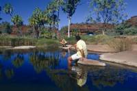 Palm Valley 4WD Tour