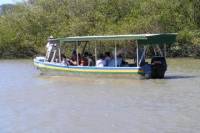 Palo Verde National Park and Coffee Tour