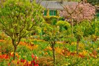 Paris Private Trip to Giverny: Claude Monet's House and Gardens and Musee des Impressionnismes