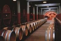 Penfolds Magill Estate Tour and Wine Tasting