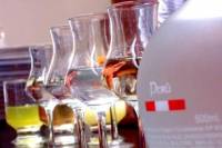 Peruvian Basics: Pisco Tasting, Cocktail Lesson and Ceviche Lesson