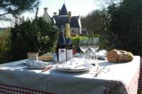Picnic in the Vines Tour of Chinon, France