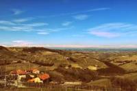 Piedmont Wine Tasting and Cellar Tour