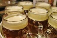 Prague Mini-Breweries Beer Tour with Czech Appetizers