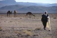 Private 2-Night Tour to Erg Chegaga Sand Desert from Marrakech