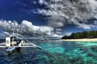 Private 6-Day Bohol Deluxe Dive Package from Cebu
