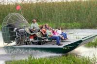 Private Airboat Tour with Alligator Encounter and Transport