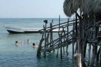 Private Appleton Estate Rum and Pelican Bar Tour from Montego Bay