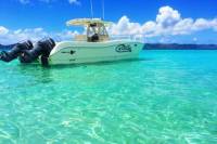 Private Boat Charter to British Virgin Islands from St John
