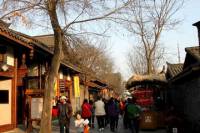 Private Chengdu Biking Exploration Day Tour