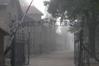 Private Day Tour from Prague to Auschwitz-Birkenau Museum