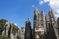 Private Day Tour of Stone Forest from Kunming