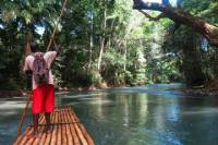 Private Dunn's River Falls and Martha Brae River Rafting Tour from Negril