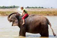 Private Eco-Tour: Crocodile Watching, Spice Plantation and Elephant Experience in Goa