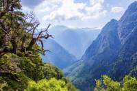 Private Experience to Samaria Gorge in Crete