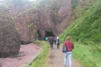 Private 'Game of Thrones' Tour from Belfast Including Giant's Causeway