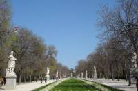 Private Guided Half Day City Tour in Madrid with Public Transportation