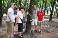 Private Half-Day Cu Chi Tunnels Tour from Ho Chi Minh City