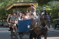 Private Historic Carriage Tour of Charleston