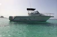 Private Nassau Historic Harbor Cruise Plus Beach Visit