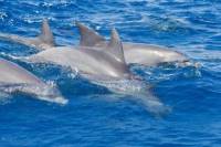 Private Port Stephens Day Trip from Sydney