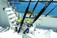 Private Punta Cana Deep-Sea Fishing Charter