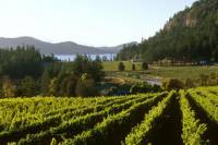 Private Tour: 3-Day Wine-Tasting Tour Through Victoria and the Gulf Islands