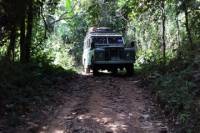 Private Tour: 4x4 Rainforest Adventure from Bangkok Including Elephant Ride