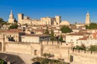 Private Tour: Avignon Half-Day Trip from Marseille