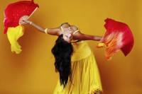 Private Tour: Belly Dancing Lesson in Istanbul with Optional Dinner and Show