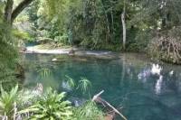 Private Tour: Blue Hole and Fern Gully Rain Forest Adventure from Negril