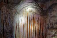 Private Tour: Blue Mountains and Jenolan Caves Day Trip from Sydney