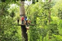 Private Tour: Cycling and Zipline Adventure from Chiang Mai