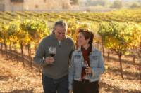 Private Tour: Ligurian Hills Vineyard Visit from Genoa Including Wine Tasting and Lunch