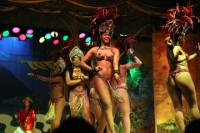 Private Tour: Plataforma Show with Dinner in Rio de Janeiro