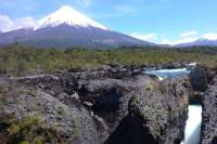 Private Tour: Puerto Montt, Puerto Varas and Vicente Peres Rosales National Park