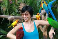 Private Tour: Singapore Jurong Bird Park Tour