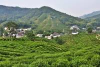 Private Tour: Ultimate Hangzhou Sightseeing Tour