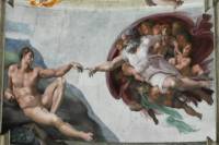 Private Tour: Vatican Museum and St Peter Basilica Tour