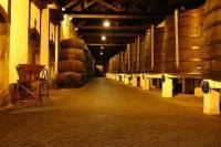 Private Tour: Évora Day Trip from Lisbon